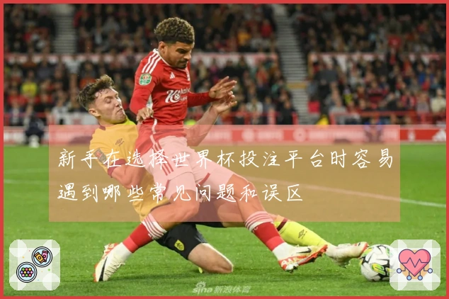 新手在选择世界杯投注平台时容易遇到哪些常见问题和误区