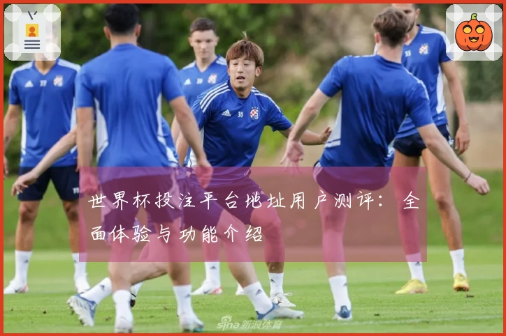 世界杯投注平台地址用户测评:全面体验与功能介绍