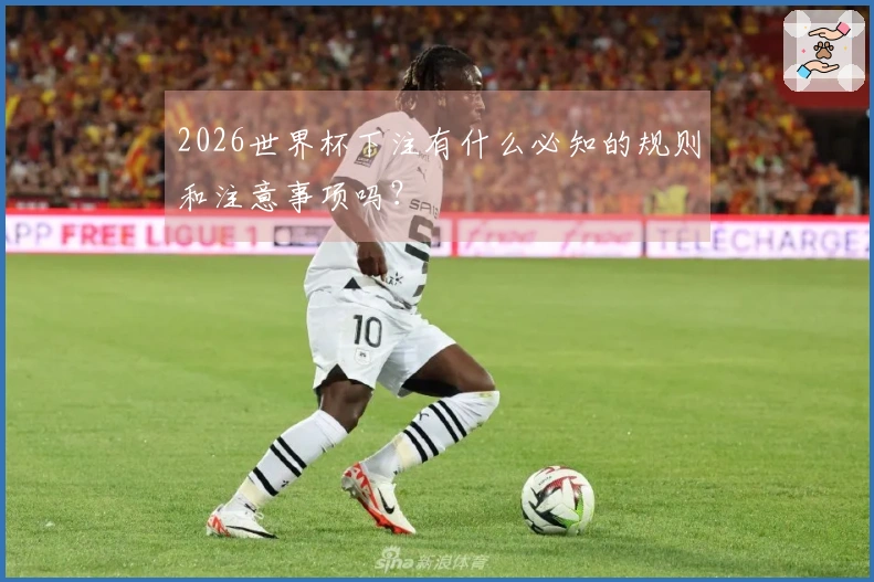 2026世界杯下注有什么必知的规则和注意事项吗？