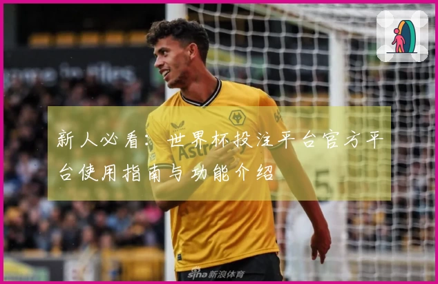 新人必看：世界杯投注平台官方平台使用指南与功能介绍