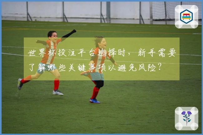 世界杯投注平台选择时，新手需要了解哪些关键事项以避免风险？