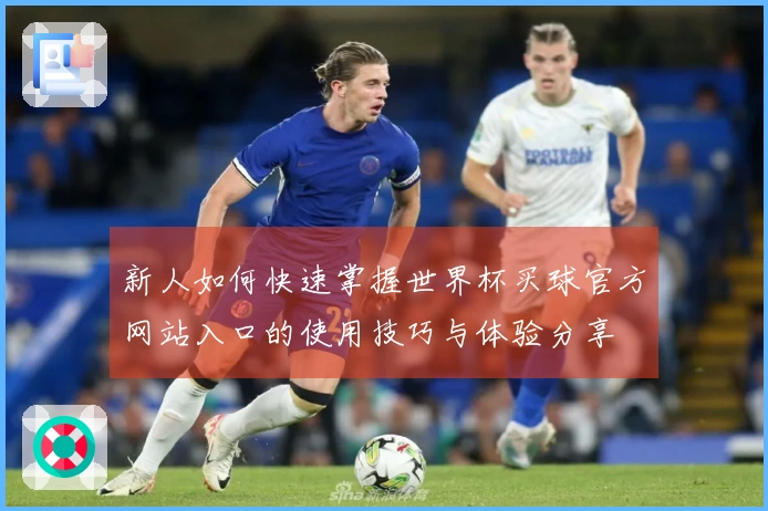 新人如何快速掌握世界杯买球官方网站入口的使用技巧与体验分享