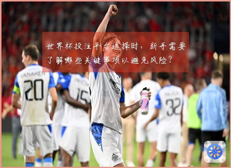 世界杯投注平台选择时,新手需要了解哪些关键事项以避免风险?
