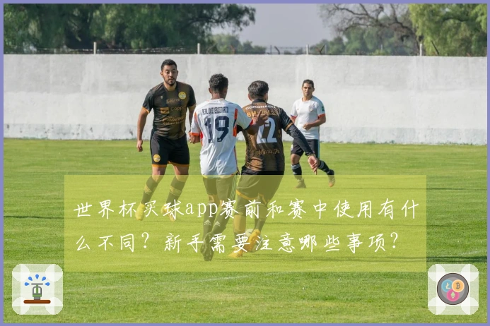 世界杯买球app赛前和赛中使用有什么不同？新手需要注意哪些事项？