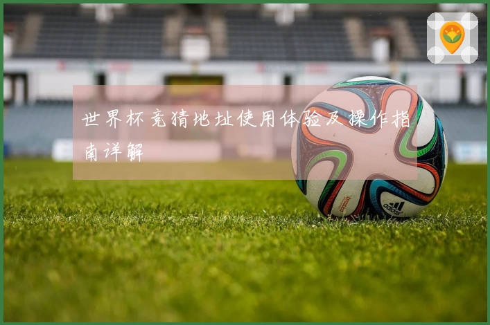 世界杯竞猜地址使用体验及操作指南详解