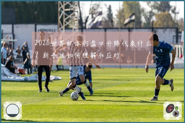 2026世界杯体彩盘口升降代表什么？新手该如何理解和应对