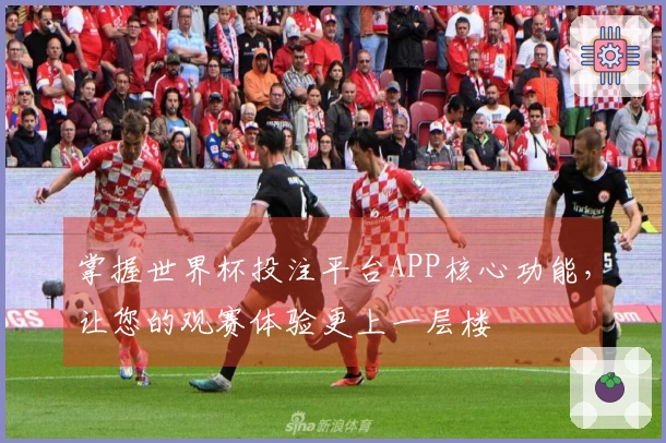 掌握世界杯投注平台APP核心功能，让您的观赛体验更上一层楼