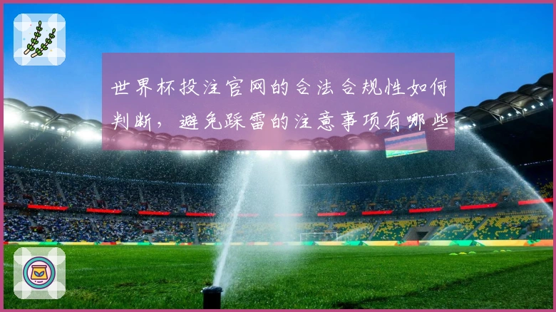 世界杯投注官网的合法合规性如何判断,避免踩雷的注意事项有哪些
