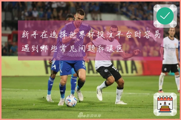 新手在选择世界杯投注平台时容易遇到哪些常见问题和误区